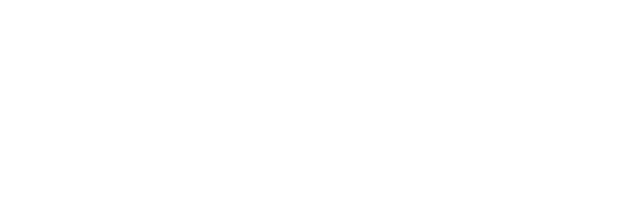 Steyr – logo