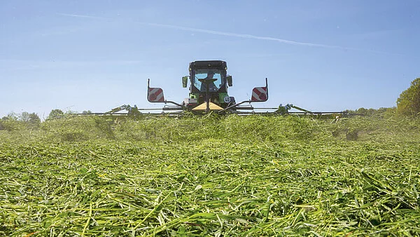 KRONE Vendro sprer slått gras på et jorde