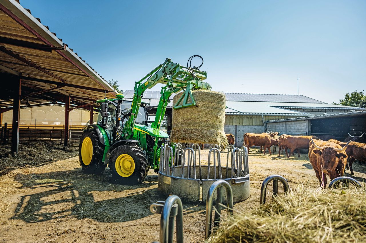 John Deere 5M med frontlaster under fôring av storfe